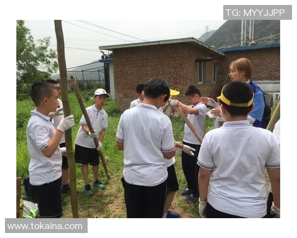 科学攀岩中的团队协作训练方法探讨与实践技巧分享