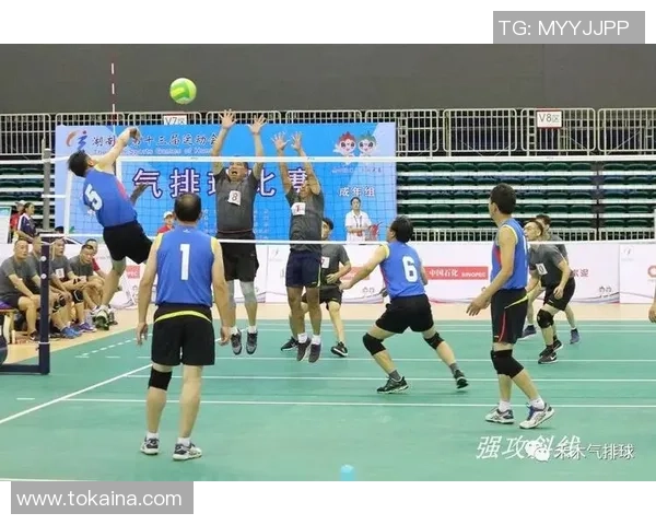 重庆排球队的阵地战揭秘：深度解析排球战术与团队协作技巧